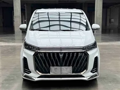 大通 G20
