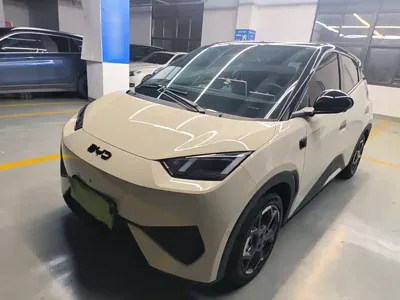 BYD Seagull