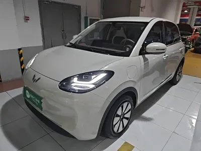 Wuling Bingo