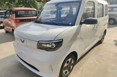 Wuling Zhiguang New Energy