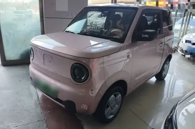 Geely Galaxy Panda