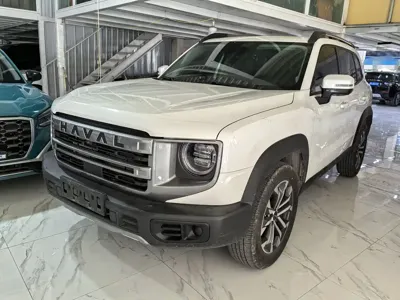 Haval Big Dog