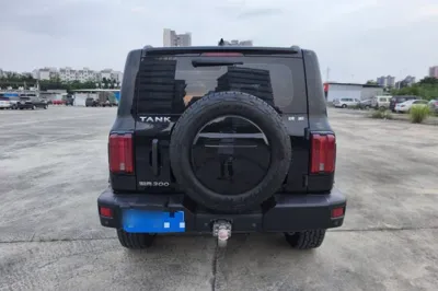 Tank 300