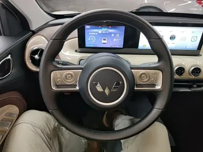 Wuling Bingo