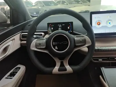 BYD Seagull
