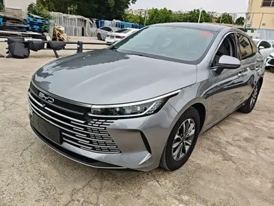BYD Destroyer 05