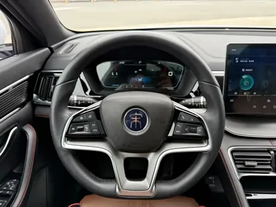 BYD PLUS