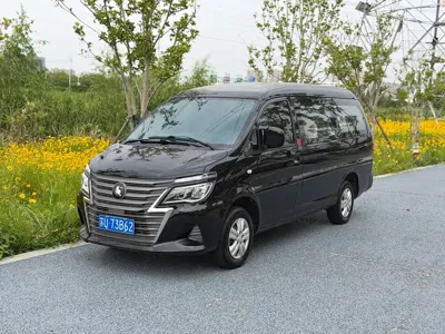 Fengxing Lingzhi