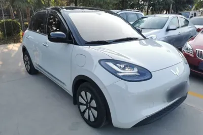 Wuling Bingo