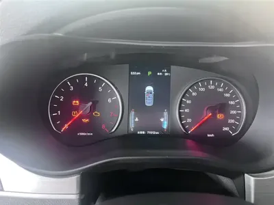 BYD MAX