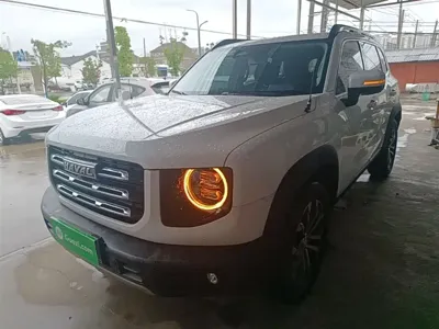 Haval Big Dog