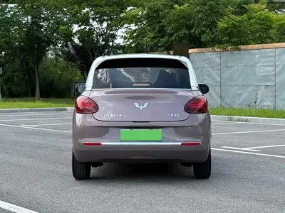 Wuling Bingo
