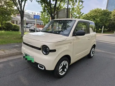 Galaxy Panda