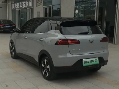 Wuling Bingo PLUS