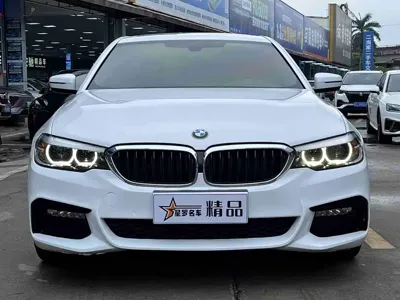 BMW 5 Series (Import)
