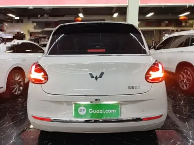 Wuling Bingo