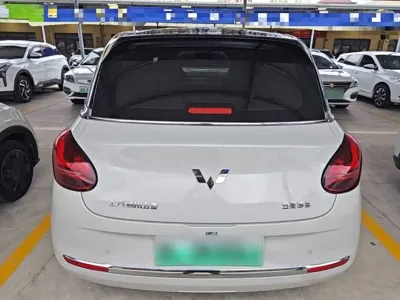 Wuling Bingo