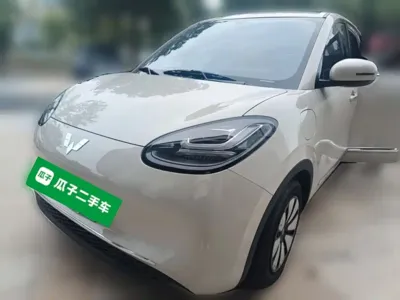 Wuling Bingo