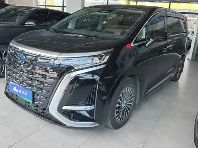 Denza Denza D9