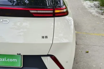 BYD Seagull