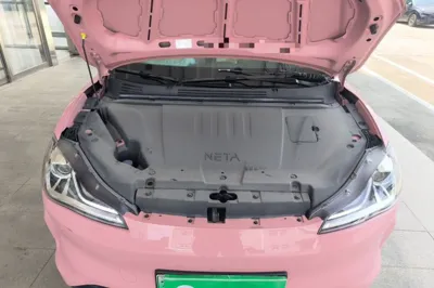 NETA V