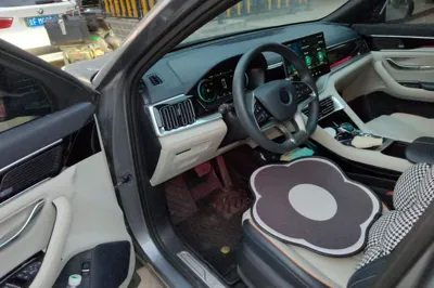 BYD Song PLUS New Energy