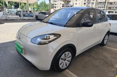 Wuling Bingo