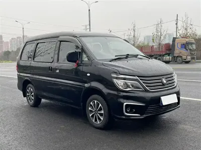 Fengxing Lingzhi