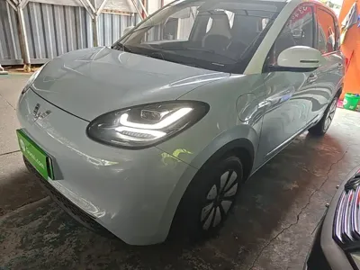 Wuling Bingo