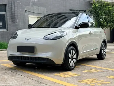 Wuling Bingo