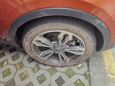 Leopaard Leopaard CS9