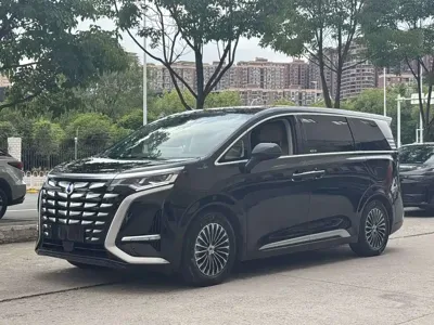 Denza Denza D9
