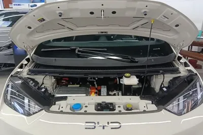 BYD Seagull