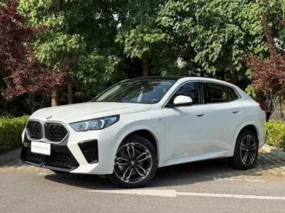 BMW X2 (Import)