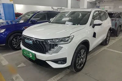 Haval H6 New Energy