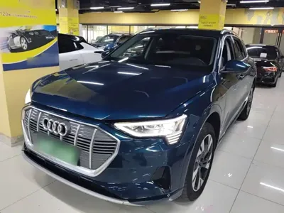 Audi e-tron (Import)