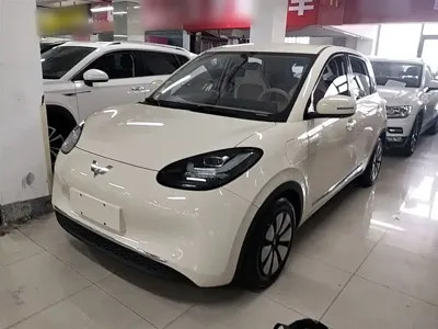 Wuling Bingo