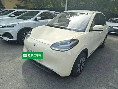 Wuling Bingo