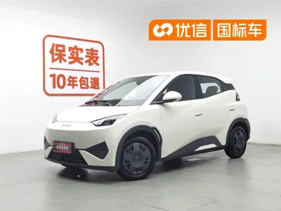 BYD Seagull