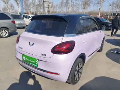 Wuling Bingo