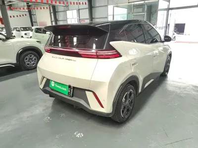 BYD Seagull