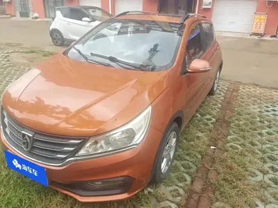Baojun 310