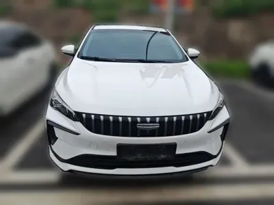Geely Binrui