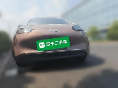 Wuling Bingo
