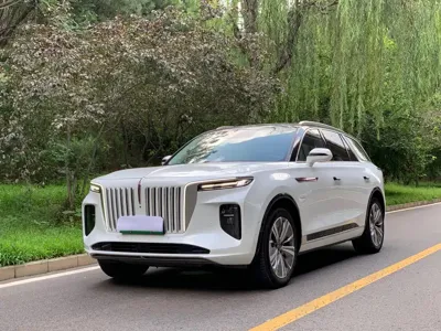 Hongqi Hongqi E-HS9