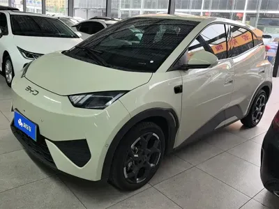 BYD Seagull