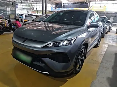 BYD Pro New Energy