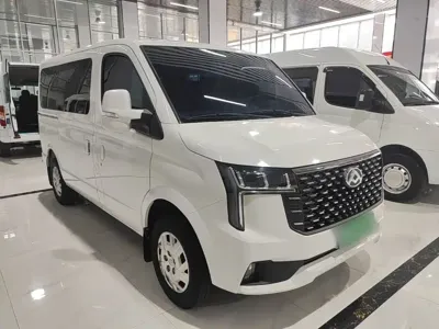 Maxus V80
