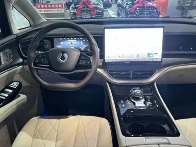 Denza Denza D9
