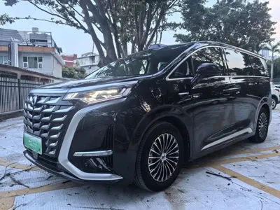 Denza Denza D9